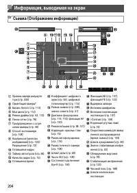 Страница 204