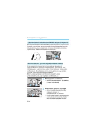 Страница 310