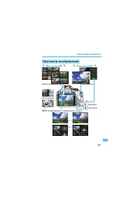 Страница 381