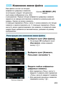 Страница 203