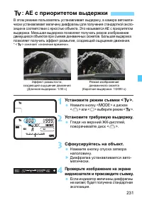 Страница 231