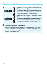 Страница 234