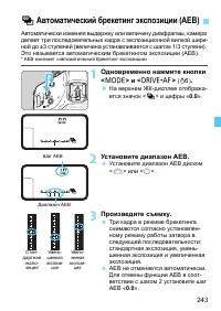 Страница 243
