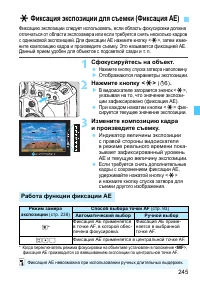Страница 245