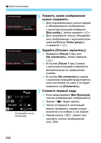 Страница 250