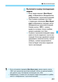 Страница 251