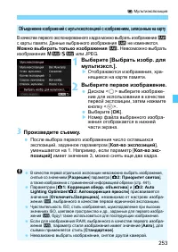 Страница 253