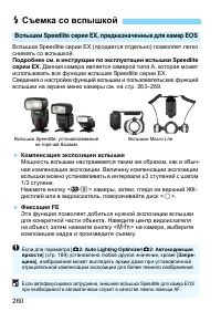 Страница 260