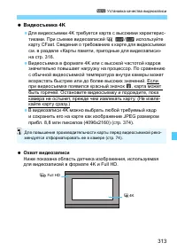 Страница 313