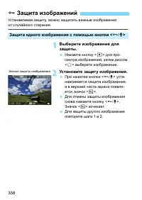 Страница 358