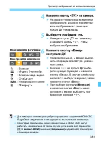 Страница 381