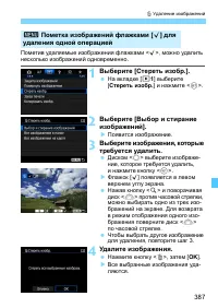 Страница 387