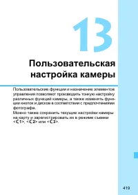 Страница 419