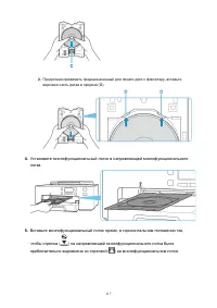Страница 117