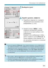 Страница 161