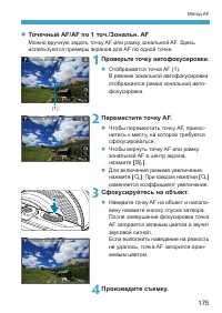 Страница 175