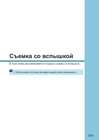 Страница 243