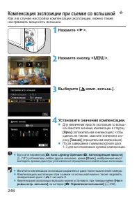 Страница 246