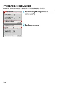 Страница 248