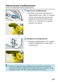Страница 259
