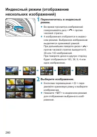 Страница 260