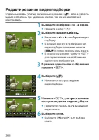 Страница 268