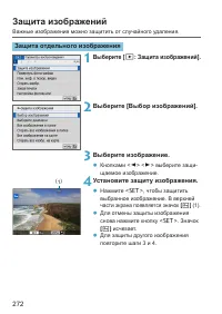 Страница 272