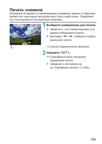 Страница 283