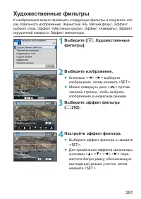 Страница 291