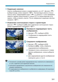 Страница 301