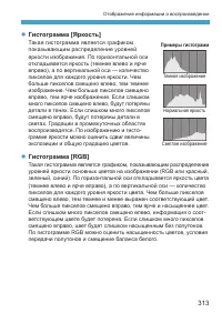 Страница 313