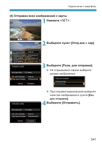 Страница 341