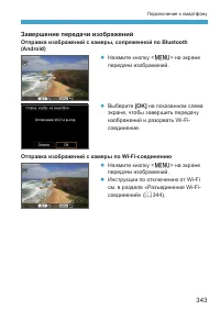 Страница 343