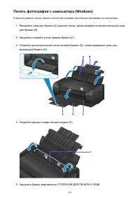 Страница 291