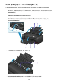Страница 295
