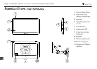 Страница 167