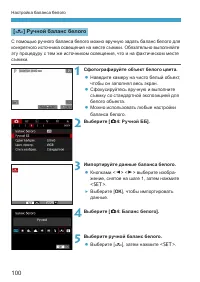 Страница 100