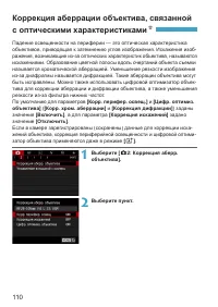 Страница 110