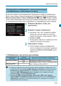 Страница 171