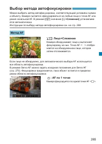 Страница 265