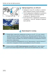 Страница 272