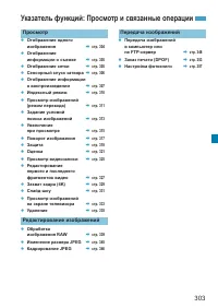 Страница 303