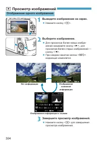 Страница 304