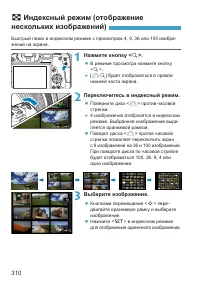 Страница 310