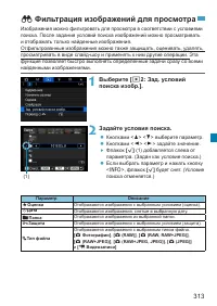 Страница 313
