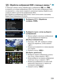 Страница 339