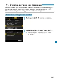 Страница 391