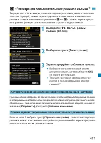 Страница 417