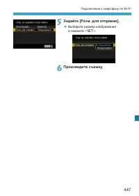 Страница 447