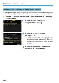 Страница 448